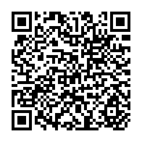 QR Code for The CGIAR in Transition - Implication for the Poor,Sustainability and the National Research Systems