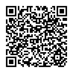 QR Code for A Trainer's Guide to Evaluation