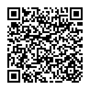 QR Code for The Report of the Regional Expert Consultation of the Asian Network for Food and Nutrition on Food and Nutrition Planning