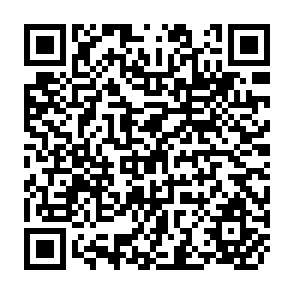 QR Code for The Papers of the Regional Expert Consultation of the Asian Network for Food Nutrition on Food and Nutrition Planning