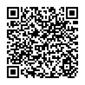 QR Code for Development of Infromation Systems for Agriculture