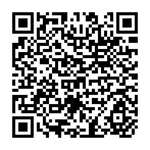 QR Code for World Development Report 1993