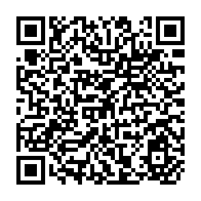 QR Code for World Development Report 1993