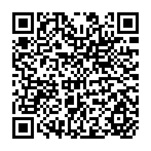 QR Code for Lumpenbourgeoisie: Lumpendevelopment