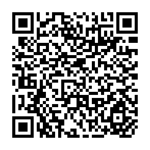 QR Code for NGO Interactions with the Public Sector: The Experience of Proshika's Livestock and Social Forestry Programme- Agricultural Administration