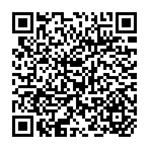 QR Code for NGOs and agriculture at the margin: Reseach, participation and sustainability in West Africa