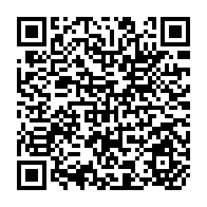 QR Code for Variation in Interventions, Variation in Results: Assistance to FMIS in Nepal