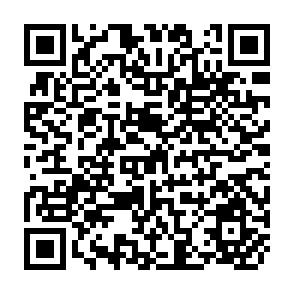 QR Code for News From the Field a Collection of Short Papers