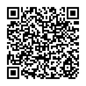 QR Code for The Third World in world Economy