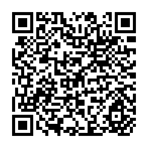 QR Code for Poverty Asjustment and Growth in Africa