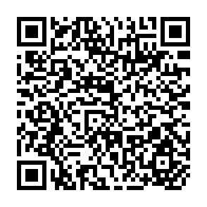 QR Code for People and Trees