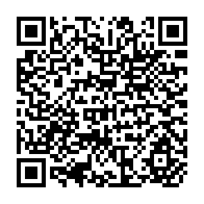 QR Code for Policy Analysis and Evaluation An agenda for education and research