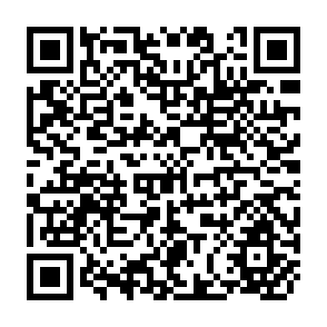 QR Code for Emplanatory Studies of AID Allocation Among Developing Countries : A Critical Survey