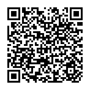 QR Code for Socialism, capitalism & economic growth