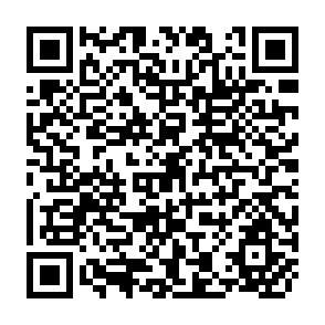 QR Code for External Finance,Growth and Adjustment