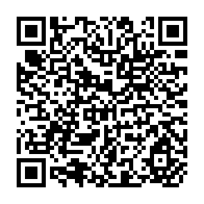 QR Code for Agenda 21 : Green Path to the Future