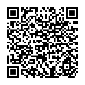 QR Code for The Developing Countries in World Trade