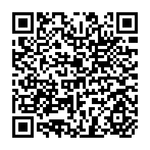 QR Code for Meeting the Global Challenge- Themes and Programs of the International Development Reseach Centre