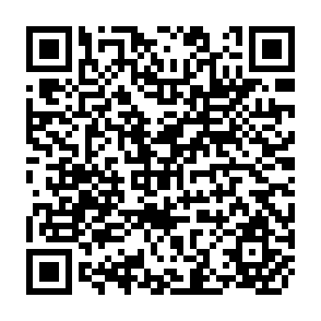 QR Code for The Green Evolution