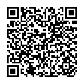 QR Code for The Art of Lecturing