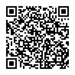QR Code for Poverty and Income Distribution