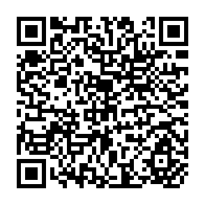 QR Code for South-South Trade Preferences: The GSTP and Trade in Manufactures