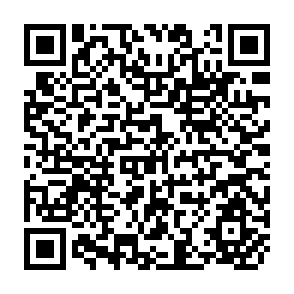 QR Code for Lopsided Growth