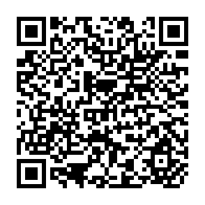 QR Code for South Asia in a Changing International Order