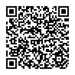 QR Code for Technical Change, Income Distribution and Rural Poverty