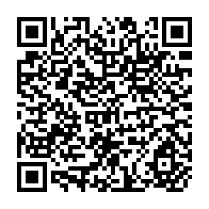 QR Code for The peasant perspectives in the underdeveloped countries
