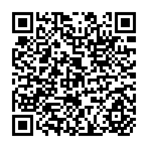 QR Code for Land Reform: A Failure of Neoclassical Theorization