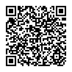 QR Code for Land and Power in South America
