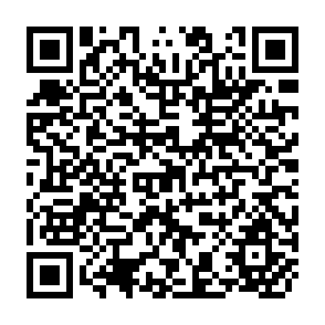 QR Code for Economic implications of the "Green Revolution" and the strategy of agricultural development in west pakistan