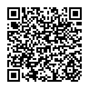 QR Code for Agroforestry for Sustainable Development-Economic Implications