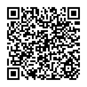 QR Code for Mangoes in the Caribbean: Production and Post-Harvest Treatment