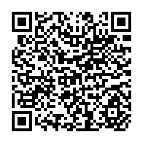 QR Code for Rapid Rural Appraisal for Agroforestry, Zimbabwe
