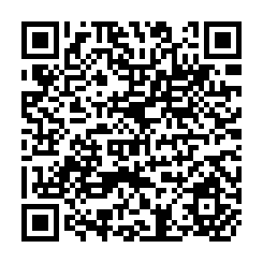 QR Code for Size and Efficiency in Farming
