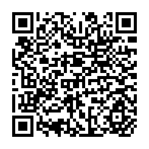QR Code for 1993 Food AID review