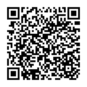 QR Code for Ethnicity and nation-building in south asia