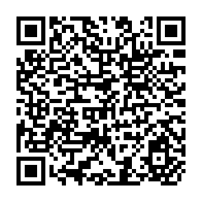 QR Code for The Child and the State in India