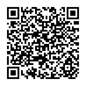 QR Code for South Asia and World Capitalism