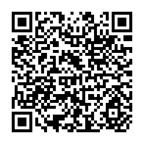 QR Code for The Changing Rural Stratification System