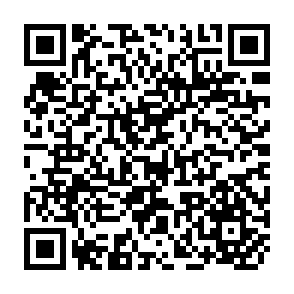 QR Code for The government and politics of india