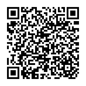QR Code for The Issues at Stake