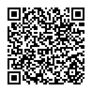 QR Code for Trade and Cooperation in South Asia