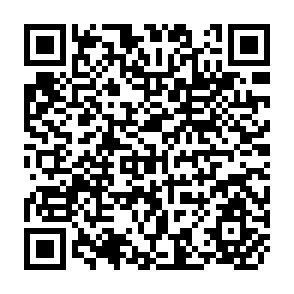 QR Code for The Security of South asia