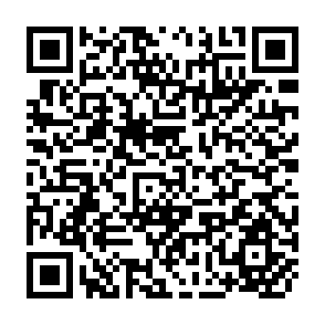 QR Code for IBN Battuta Travels in Asia and Africa
