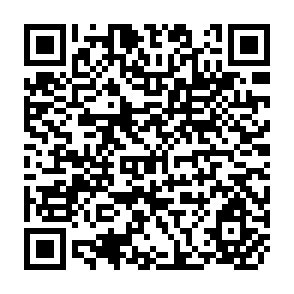 QR Code for The Incidence of Poverty in Developing Countries