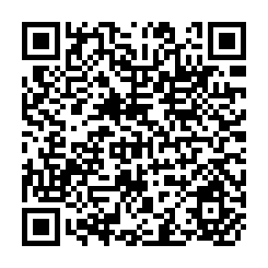 QR Code for Macrosocial accounting for municipalities in the Philippines:Rural banks and credit cooperatives