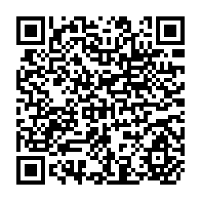 QR Code for Management Consulting A Guide to the Profession